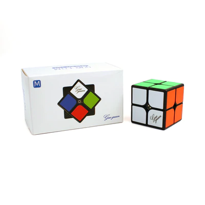 GuoGuan Xinghen TSM 2x2 Cube (Magnetic)